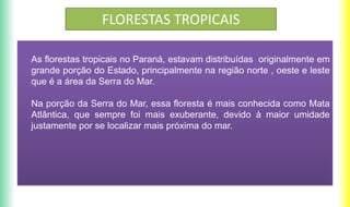 FLORESTAS TROPICAIS
As florestas tropicais no Paraná, estavam distribuídas originalmente em
grande porção do Estado, principalmente na região norte , oeste e leste
que é a área da Serra do Mar.
Na porção da Serra do Mar, essa floresta é mais conhecida como Mata
Atlântica, que sempre foi mais exuberante, devido à maior umidade
justamente por se localizar mais próxima do mar.
 