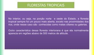 FLORESTAS TROPICAIS
No interior, ou seja, na porção norte e oeste do Estado, a floresta
tropical sempre foi um pouco mais aberta, exceto nas proximidades dos
rios, onde nesse caso são conhecidas como matas ciliares ou galerias.
Outra característica dessa floresta interiorana é que ela normalmente
aparecia em regiões abaixo de 500 metros de altitude.
 