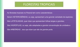 FLORESTAS TROPICAIS
As florestas tropicais no Paraná tem como características:
Serem HETEROGÊNEAS, ou seja, apresentam uma grande variedade de espécies;
São LATIFOLIADAS, quer dizer que apresentam folhas largas e grandes;
São HIGRÓFILAS, ou seja, são adaptadas a grande concentração de umidade e
São ARBÓREAS , isso que dizer que são de grande porte.
 