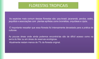 FLORESTAS TROPICAIS
As espécies mais comum dessas florestas são: pau-brasil, jacarandá, peroba, cedro,
jequitibá e associações com plantas epífetas como bromélias, orquídeas e cipós.
É importante ressaltar que essa floresta foi intensamente devastada para a prática de
culturas.
As poucas áreas onde ainda podemos encontrá-las são de difícil acesso como na
serra do Mar ou em áreas de reservas ecológicas.
Atualmente restam menos de 7% da floresta original.
 