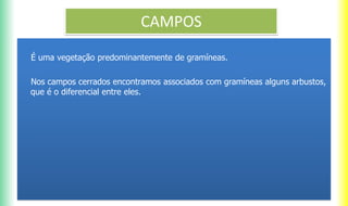 CAMPOS
É uma vegetação predominantemente de gramíneas.
Nos campos cerrados encontramos associados com gramíneas alguns arbustos,
que é o diferencial entre eles.
 