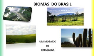 BIOMAS DO BRASIL
UM MOSAICO
DE
PAISAGENS
 