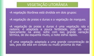 VEGETAÇÃO LITORÂNEA
•A vegetação litorânea está dividida em dois grupos:
•A vegetação de praias e dunas e a vegetação de mangues.
•A vegetação de praias e dunas é uma vegetação rala e
rasteira; é adaptada a pouca fertilidade, pois ela vive
basicamente na areia; sofre com isso grande variação
térmica, de dia esquenta muito, a noite esfria rápido.
•É uma vegetação adaptada a uma grande concentração de
sais, pois ela está em contato ou muito próxima do mar.
 