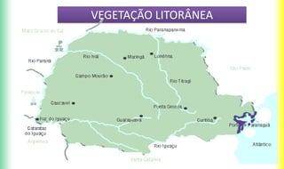 VEGETAÇÃO LITORÂNEA
 