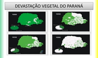 DEVASTAÇÃO VEGETAL DO PARANÁ
 