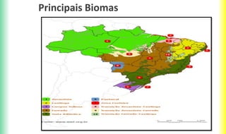 Principais Biomas
 