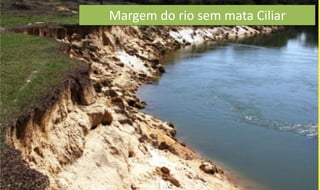 Margem do rio sem mata Ciliar
 