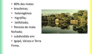 • 80% das matas
• brasileiras;
• heterogênea
• higrófila;
• latifoliada;
• floresta de mata
fechada;
• subdividida em:
• Igapó, Várzea e Terra
Firme.
 