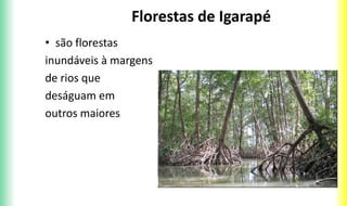 Florestas de Igarapé
• são florestas
inundáveis à margens
de rios que
deságuam em
outros maiores
 