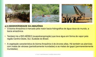 CF 2017: FRATERNIDADE E BIOMAS BRASILEIROS
a) A BIODIVERSIDADE DA AMAZÔNIA
• O bioma Amazônia é marcado pela maior bacia hidrográfica de água doce do mundo, a
bacia amazônica.
• Também há o RIO AÉREO (evapotranspiração) que leva água em forma de vapor pela
região Centro-Oeste, Sul, Sudeste do Brasil.
• A vegetação característica do bioma Amazônia é de árvores altas. Há também as planícies
com matas de várzeas (periodicamente inundadas) e as matas de igapó (permanentemente
inundadas).
 