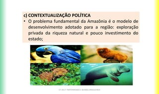 CF 2017: FRATERNIDADE E BIOMAS BRASILEIROS
c) CONTEXTUALIZAÇÃO POLÍTICA
• O problema fundamental da Amazônia é o modelo de
desenvolvimento adotado para a região: exploração
privada da riqueza natural e pouco investimento do
estado;
 