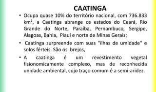 CAATINGA
• Ocupa quase 10% do território nacional, com 736.833
km², a Caatinga abrange os estados do Ceará, Rio
Grande do Norte, Paraíba, Pernambuco, Sergipe,
Alagoas, Bahia, Piauí e norte de Minas Gerais;
• Caatinga surpreende com suas "ilhas de umidade" e
solos férteis. São os brejos,
• A caatinga é um revestimento vegetal
fisionomicamente complexo, mas de reconhecida
unidade ambiental, cujo traço comum é a semi-aridez.
 