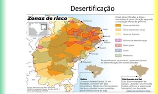 Desertificação
 