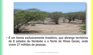 CF 2017: FRATERNIDADE E BIOMAS BRASILEIROS
• É um bioma exclusivamente brasileiro, que abrange territórios
de 8 estados do Nordeste e o Norte de Minas Gerais, onde
vivem 27 milhões de pessoas.
 