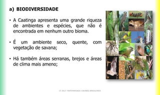 a) BIODIVERSIDADE
• A Caatinga apresenta uma grande riqueza
de ambientes e espécies, que não é
encontrada em nenhum outro bioma.
• É um ambiente seco, quente, com
vegetação de savana;
• Há também áreas serranas, brejos e áreas
de clima mais ameno;
CF 2017: FRATERNIDADE E BIOMAS BRASILEIROS
 