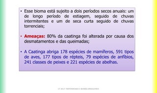 CF 2017: FRATERNIDADE E BIOMAS BRASILEIROS
• Esse bioma está sujeito a dois períodos secos anuais: um
de longo período de estiagem, seguido de chuvas
intermitentes e um de seca curta seguido de chuvas
torrenciais;
• Ameaças: 80% da caatinga foi alterada por causa dos
desmatamentos e das queimadas;
• A Caatinga abriga 178 espécies de mamíferos, 591 tipos
de aves, 177 tipos de répteis, 79 espécies de anfíbios,
241 classes de peixes e 221 espécies de abelhas.
 