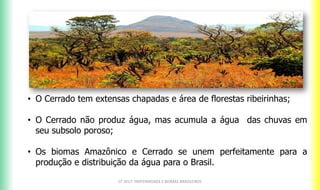 CF 2017: FRATERNIDADE E BIOMAS BRASILEIROS
• O Cerrado tem extensas chapadas e área de florestas ribeirinhas;
• O Cerrado não produz água, mas acumula a água das chuvas em
seu subsolo poroso;
• Os biomas Amazônico e Cerrado se unem perfeitamente para a
produção e distribuição da água para o Brasil.
 