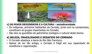 CF 2017: FRATERNIDADE E BIOMAS BRASILEIROS
c) OS POVOS ORIGINÁRIOS E A CULTURA – sociodiversidade
• Os indígenas, primeiros habitantes do Cerrado, junto com os camponeses,
constituem os grupos importantes no Cerrado;
• São eles os guardiões do patrimônio ecológico e cultural deste bioma.
d) BELEZA, FRAGILIDADES E DESAFIOS DO CERRADO
• O Cerrado abastece a bacia do Rio São Francisco;
• Apesar de ser tão antigo, o Cerrado é frágil em sua capacidade de
resistência e regeneração.
 