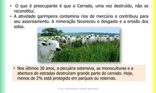 CF 2017: FRATERNIDADE E BIOMAS BRASILEIROS
• O que é preocupante é que o Cerrado, uma vez destruído, não se
reconstitui.
• A atividade garimpeira contamina rios de mercúrio e contribuiu para
seu assoreamento. A mineração favoreceu o desgaste e a erosão dos
solos.
• Nos últimos 30 anos, a pecuária extensiva, as monoculturas e a
abertura de estradas destruíram grande parte do cerrado. Hoje,
menos de 2% está protegido em parques ou reservas.
 