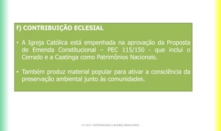 f) CONTRIBUIÇÃO ECLESIAL
• A Igreja Católica está empenhada na aprovação da Proposta
de Emenda Constitucional – PEC 115/150 - que inclui o
Cerrado e a Caatinga como Patrimônios Nacionais.
• Também produz material popular para ativar a consciência da
preservação ambiental junto às comunidades.
CF 2017: FRATERNIDADE E BIOMAS BRASILEIROS
 