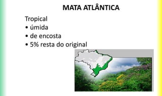 MATA ATLÂNTICA
Tropical
• úmida
• de encosta
• 5% resta do original
 