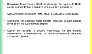 • Originalmente percorria o litoral brasileiro, do Rio Grande do Norte
ao Rio Grande do Sul, e ocupava uma área de 1,3 milhão K2;
• Ação antrópica: Agricultura (café, cana - de açúcar) e urbanização;
• Atualmente, da segunda maior floresta brasileira, restam apenas
cerca de 5% de sua extensão original;
• Apesar de reduzida a poucos fragmentos, na sua maioria
descontínuos, a biodiversidade de seu ecossistema é uma dos
maiores do planeta.
 