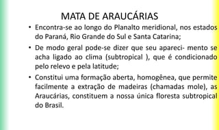 MATA DE ARAUCÁRIAS
• Encontra-se ao longo do Planalto meridional, nos estados
do Paraná, Rio Grande do Sul e Santa Catarina;
• De modo geral pode-se dizer que seu apareci- mento se
acha ligado ao clima (subtropical ), que é condicionado
pelo relevo e pela latitude;
• Constitui uma formação aberta, homogênea, que permite
facilmente a extração de madeiras (chamadas mole), as
Araucárias, constituem a nossa única floresta subtropical
do Brasil.
 