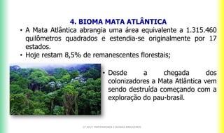 4. BIOMA MATA ATLÂNTICA
• A Mata Atlântica abrangia uma área equivalente a 1.315.460
quilômetros quadrados e estendia-se originalmente por 17
estados.
• Hoje restam 8,5% de remanescentes florestais;
CF 2017: FRATERNIDADE E BIOMAS BRASILEIROS
• Desde a chegada dos
colonizadores a Mata Atlântica vem
sendo destruída começando com a
exploração do pau-brasil.
 