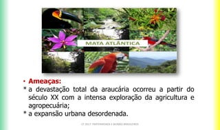CF 2017: FRATERNIDADE E BIOMAS BRASILEIROS
• Ameaças:
* a devastação total da araucária ocorreu a partir do
século XX com a intensa exploração da agricultura e
agropecuária;
* a expansão urbana desordenada.
 