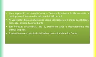 • Uma vegetação de transição entre a Floresta Amazônica úmida ao oeste, a
caatinga seca à leste e o Cerrado semi-úmido ao sul.
• As vegetações típicas da Mata dos Cocais são: babaçu (em maior quantidade),
carnaúba, oiticica, tucum e buriti;
• São florestas secundárias, isto é, cresceram após o desmatamento das
plantas originais;
• A extrativismo é a principal atividade econô- mica Mata dos Cocais.
 