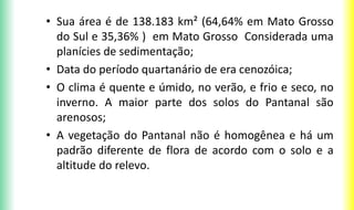 • Sua área é de 138.183 km² (64,64% em Mato Grosso
do Sul e 35,36% ) em Mato Grosso Considerada uma
planícies de sedimentação;
• Data do período quartanário de era cenozóica;
• O clima é quente e úmido, no verão, e frio e seco, no
inverno. A maior parte dos solos do Pantanal são
arenosos;
• A vegetação do Pantanal não é homogênea e há um
padrão diferente de flora de acordo com o solo e a
altitude do relevo.
 