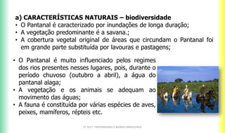 a) CARACTERÍSTICAS NATURAIS – biodiversidade
• O Pantanal é caracterizado por inundações de longa duração;
• A vegetação predominante é a savana.;
• A cobertura vegetal original de áreas que circundam o Pantanal foi
em grande parte substituída por lavouras e pastagens;
CF 2017: FRATERNIDADE E BIOMAS BRASILEIROS
• O Pantanal é muito influenciado pelos regimes
dos rios presentes nesses lugares, pois, durante o
período chuvoso (outubro a abril), a água do
pantanal alaga;
• A vegetação e os animais se adequam ao
movimento das águas;
• A fauna é constituída por várias espécies de aves,
peixes, mamíferos, répteis etc.
 