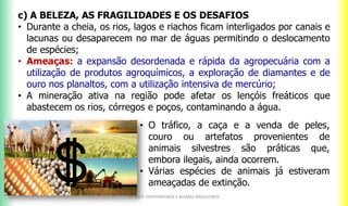 c) A BELEZA, AS FRAGILIDADES E OS DESAFIOS
• Durante a cheia, os rios, lagos e riachos ficam interligados por canais e
lacunas ou desaparecem no mar de águas permitindo o deslocamento
de espécies;
• Ameaças: a expansão desordenada e rápida da agropecuária com a
utilização de produtos agroquímicos, a exploração de diamantes e de
ouro nos planaltos, com a utilização intensiva de mercúrio;
• A mineração ativa na região pode afetar os lençóis freáticos que
abastecem os rios, córregos e poços, contaminando a água.
CF 2017: FRATERNIDADE E BIOMAS BRASILEIROS
• O tráfico, a caça e a venda de peles,
couro ou artefatos provenientes de
animais silvestres são práticas que,
embora ilegais, ainda ocorrem.
• Várias espécies de animais já estiveram
ameaçadas de extinção.
 