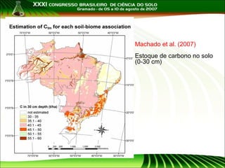 Machado et al. (2007)
Estoque de carbono no solo
(0-30 cm)

 