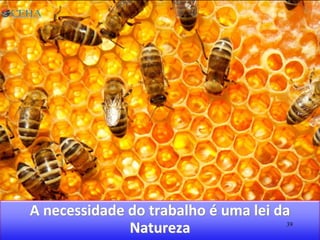 A necessidade do trabalho é uma lei da
Natureza 39
 
