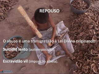 REPOUSO
O abuso é uma transgressão à Lei Divina originando:
Suicídio lento (autoimposição);
Escravidão vil (imposição alheia).
49
 
