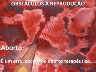 OBSTÁCULOS À REPRODUÇÃO
Aborto:
É um erro, exceto no aborto terapêutico.
56
 