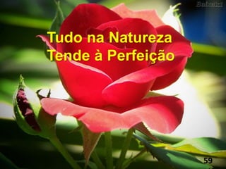 Tudo na Natureza
Tende à Perfeição
59
 