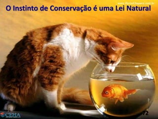 O Instinto de Conservação é uma Lei Natural
72
 
