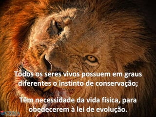 Todos os seres vivos possuem em graus
diferentes o instinto de conservação;
Têm necessidade da vida física, para
obedecerem à lei de evolução. 73
 
