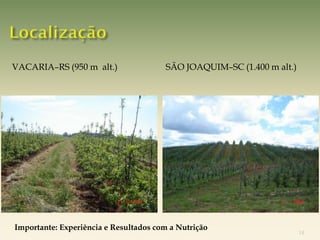 VACARIA–RS (950 m alt.)                SÃO JOAQUIM–SC (1.400 m alt.)




Importante: Experiência e Resultados com a Nutrição
                                                                       14
 