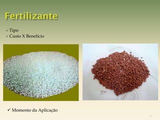  Tipo
 Custo X Benefício




 Momento da Aplicação
                         15
 