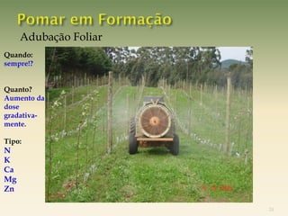 Adubação Foliar
Quando:
sempre!?


Quanto?
Aumento da
dose
gradativa-
mente.

Tipo:
N
K
Ca
Mg
Zn

                       24
 