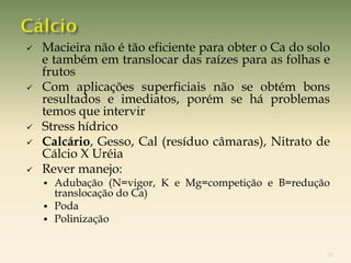    Macieira não é tão eficiente para obter o Ca do solo
    e também em translocar das raízes para as folhas e
    frutos
   Com aplicações superficiais não se obtém bons
    resultados e imediatos, porém se há problemas
    temos que intervir
   Stress hídrico
   Calcário, Gesso, Cal (resíduo câmaras), Nitrato de
    Cálcio X Uréia
   Rever manejo:
     Adubação (N=vigor, K e Mg=competição e B=redução
      translocação do Ca)
     Poda
     Polinização



                                                       31
 