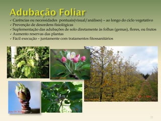  Carências ou necessidades pontuais(visual/análises) – ao longo do ciclo vegetativo
  Prevenção de desordens fisiológicas
  Suplementação das adubações de solo diretamente às folhas (gemas), flores, ou frutos
  Aumento reservas das plantas
  Fácil execução – juntamente com tratamentos fitossanitários




                        Foto: Dr. Boneti




Foto: Dr. Boneti

                                                                                   32
 