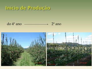 do 4º ano   2º ano




                     5
 