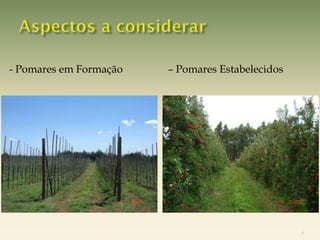 - Pomares em Formação   – Pomares Estabelecidos




                                                  6
 