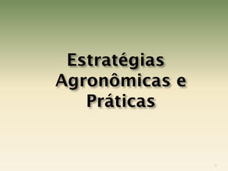 Estratégias
Agronômicas e
   Práticas


                9
 
