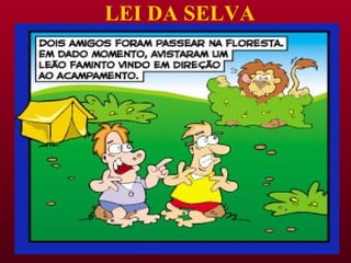 LEI DA SELVA 