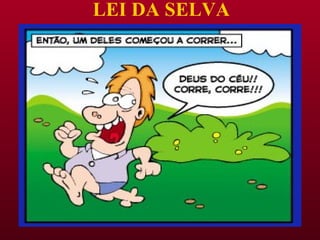 LEI DA SELVA 